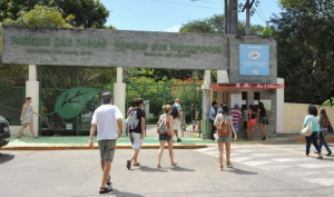Feira Literária do Parque das Dunas