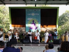 Camomila-Chá-por-Carol-Queiroz
