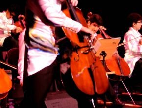 mostra de violoncelos