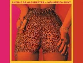 jaguatirica print