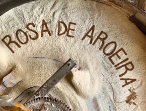 Rosa-de-Aroeira