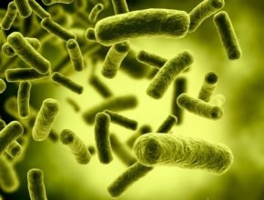 caçadores de micróbios