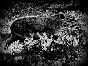 lendas-do-rn-anta-esfolada