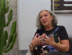 sarau-quinta-das-artes-constancia-lima