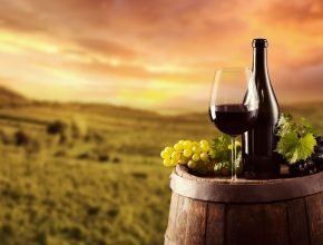 existe-terroir-cervejeiro