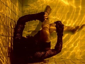 goldfish - alexandre américo