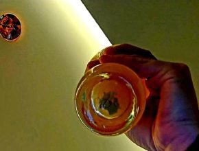 harsh e trub na cerveja