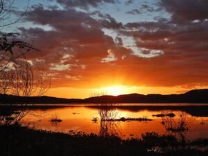crepúsculo-campo-echo