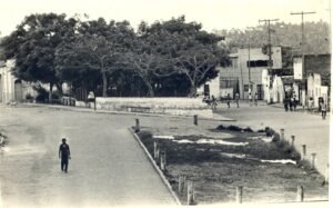 igapó-foto-de-caninde-soares