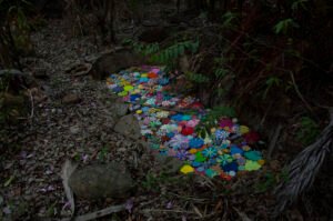 Max_Pereira_Efemerides