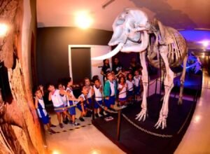 Museu Câmara Cascudo