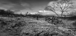 Fotógrafa potiguar Luana Campelo lança a exposição "Sertão" nesta quinta