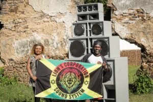 lion's corporation sound system