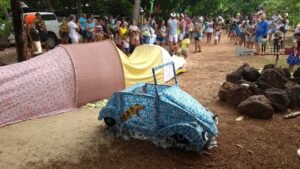 joão maria alves cobra sagi