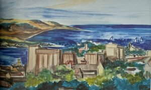 obra de newton navarro