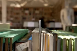 fui salvo literatura por joão queirós