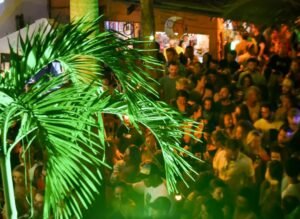 tribo de jah taipa brasil