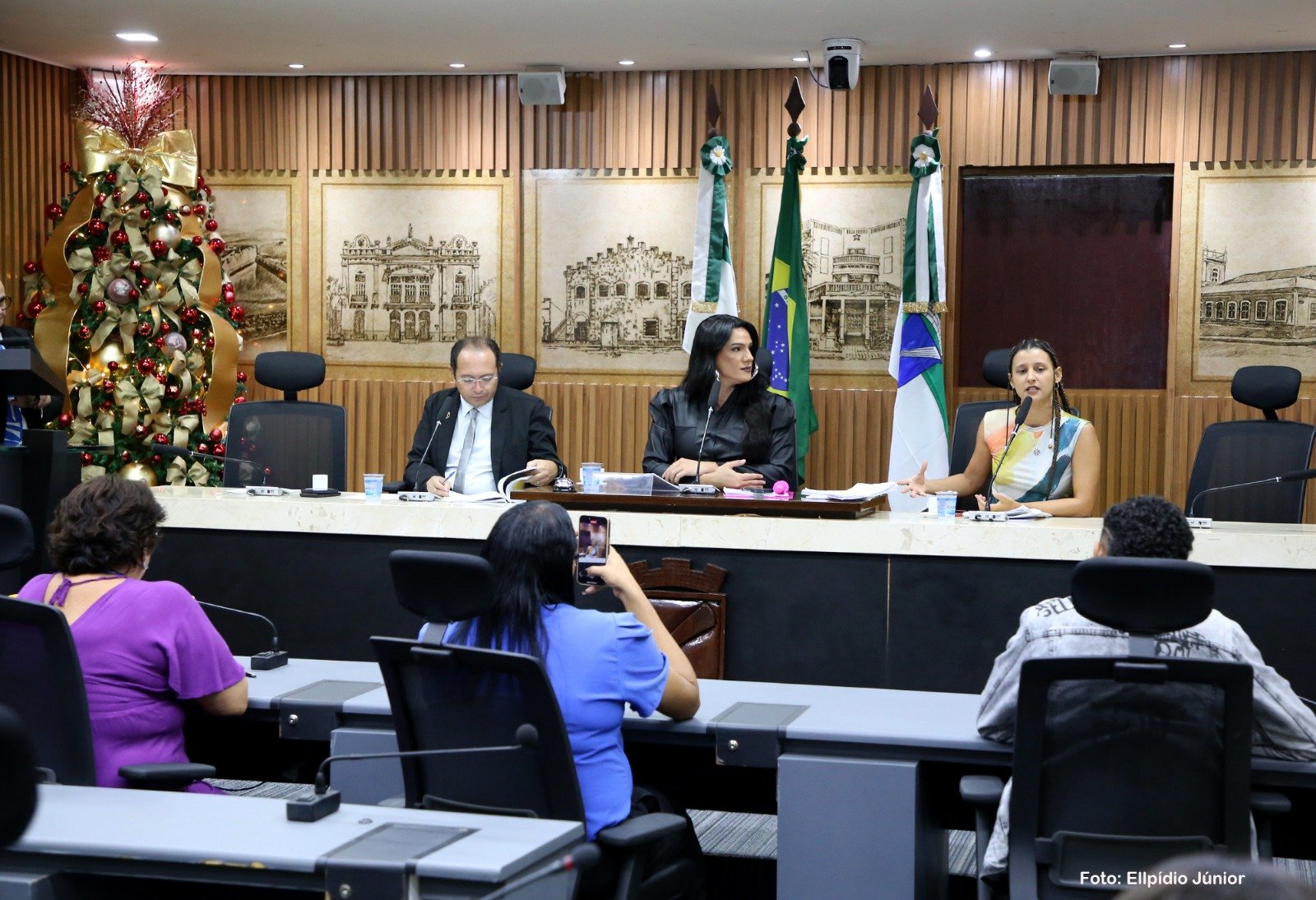 Em última reunião de 2025, Comissão de Direitos Humanos aprova 10 projetos