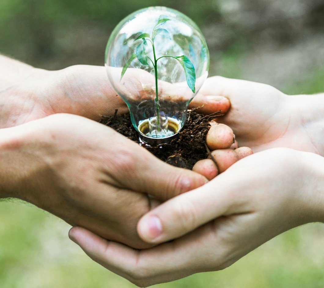 UNI-RN mantém liderança em práticas sustentáveis no ranking GreenMetric 2025