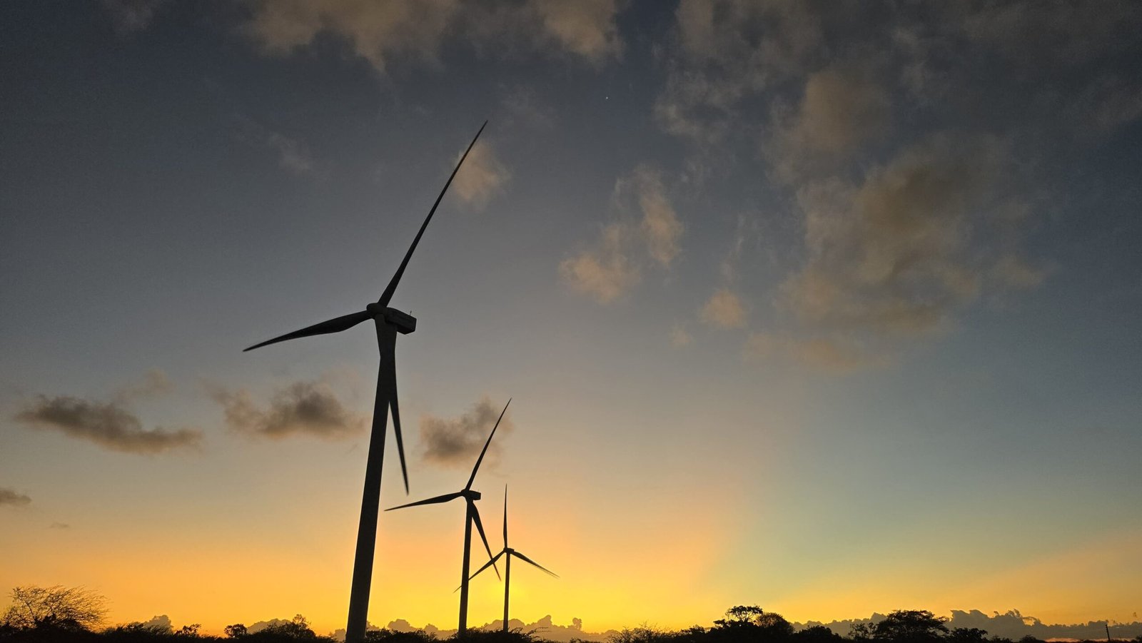 Longa-metragem aborda impactos da energia eólica no Rio Grande do Norte e na Paraíba