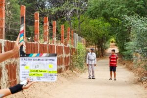Música que Nasceu da Terra